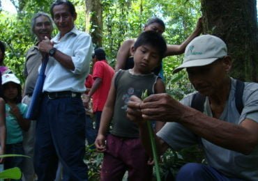 Comunicado Red de Coordinación en Biodiversidad. Protocolo de Nagoya: Una vez más quieren ratificarlo sin consulta