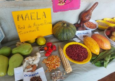 Comunicado MAELA  Costa Rica.